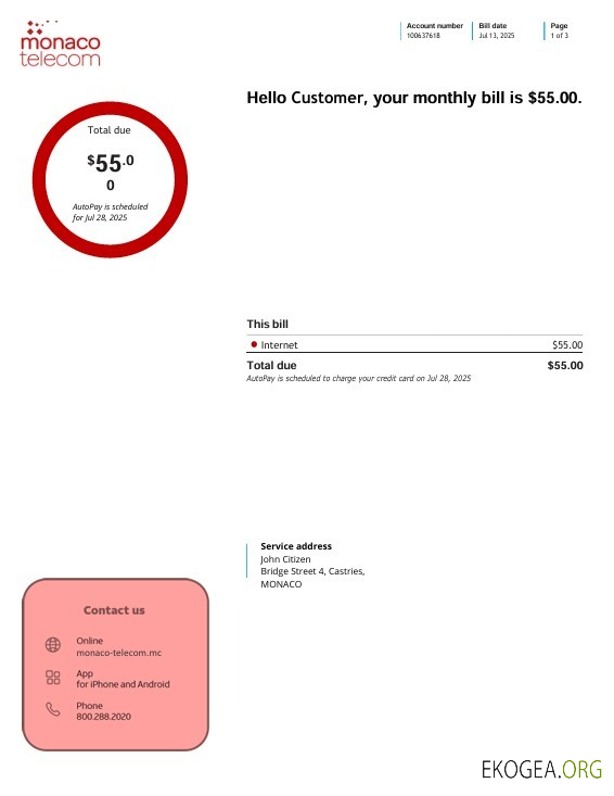Monaco telecom internet utility bill, 3 pages